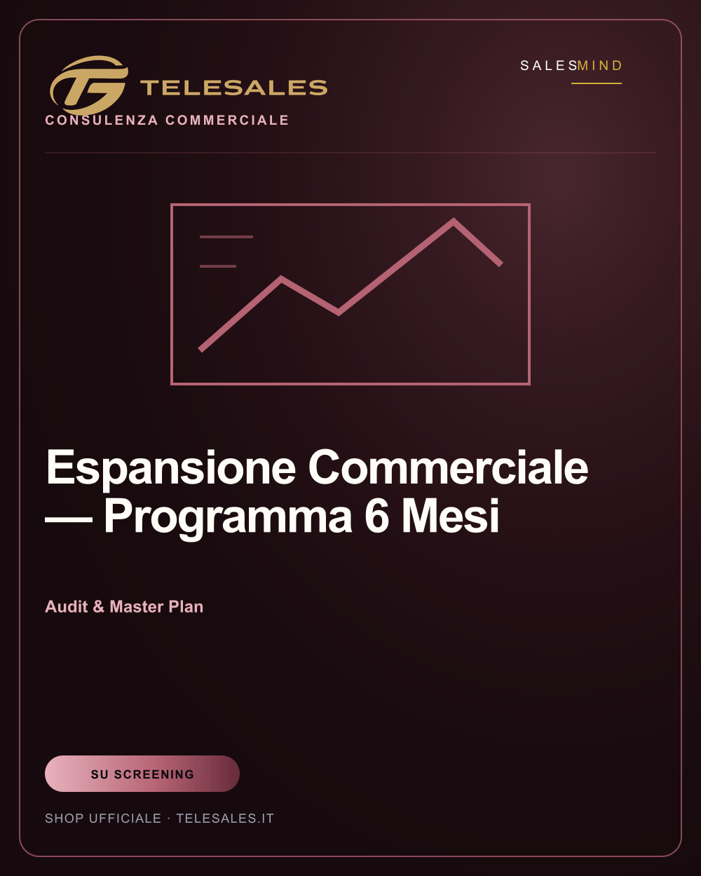 Espansione Commerciale — Programma 6 Mesi