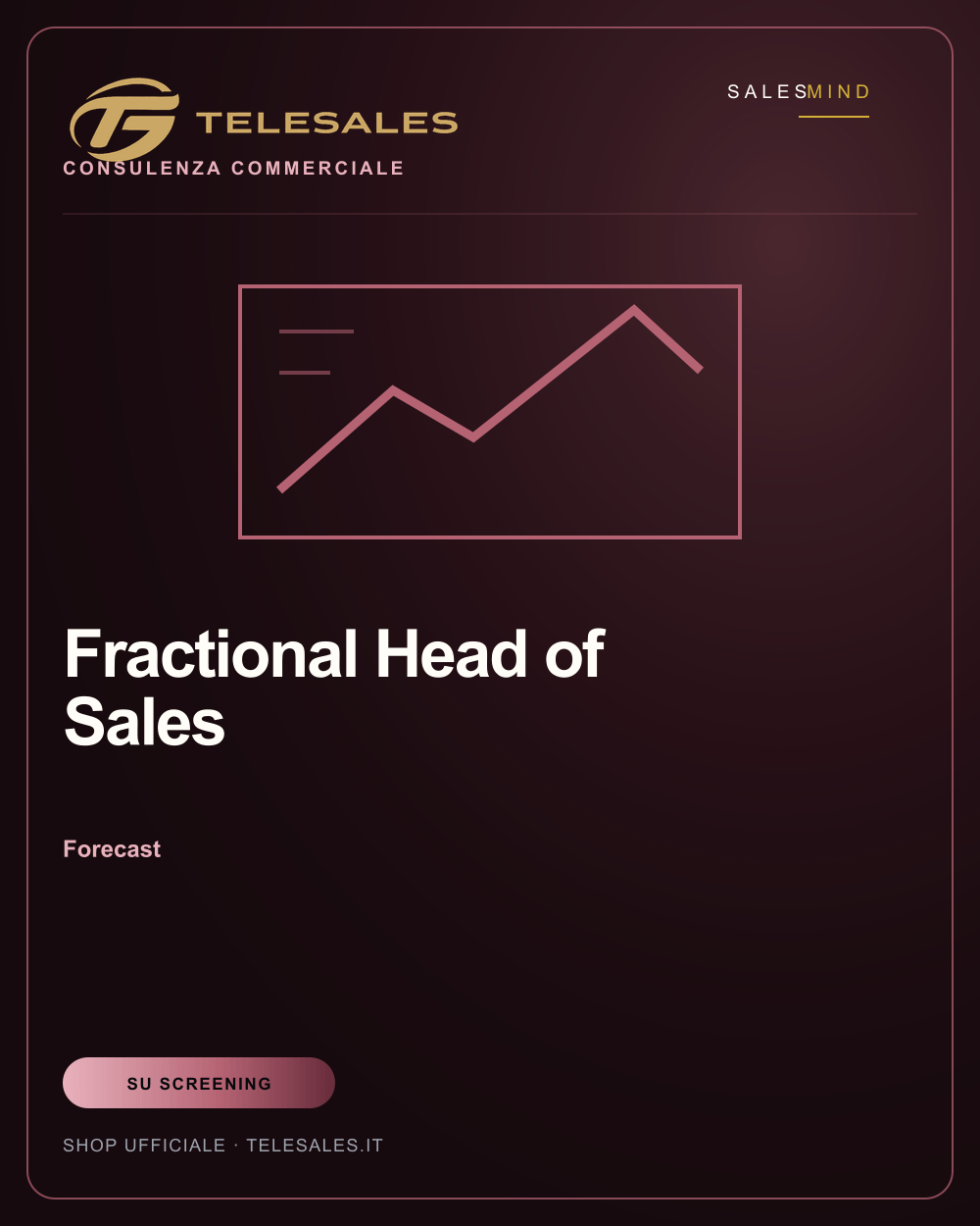 Fractional Head of Sales