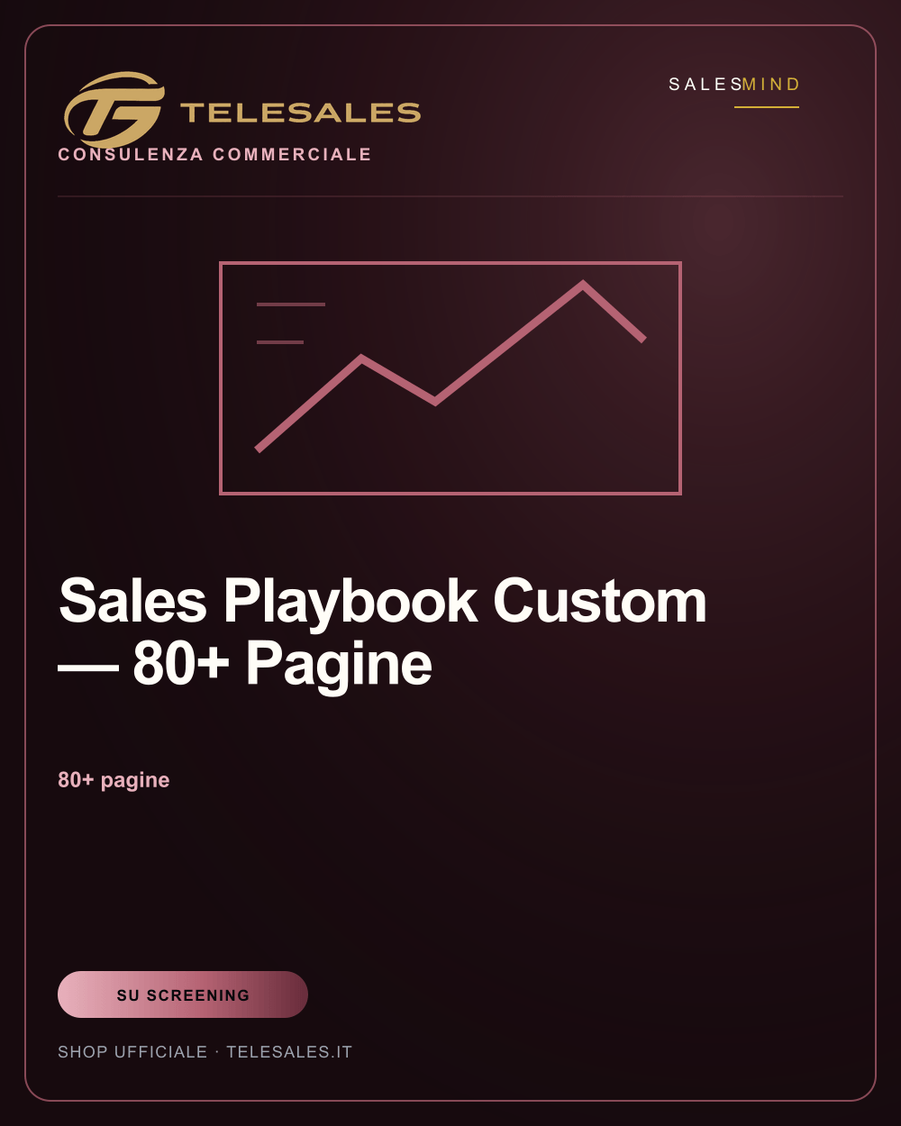 Sales Playbook Custom — 80+ Pagine