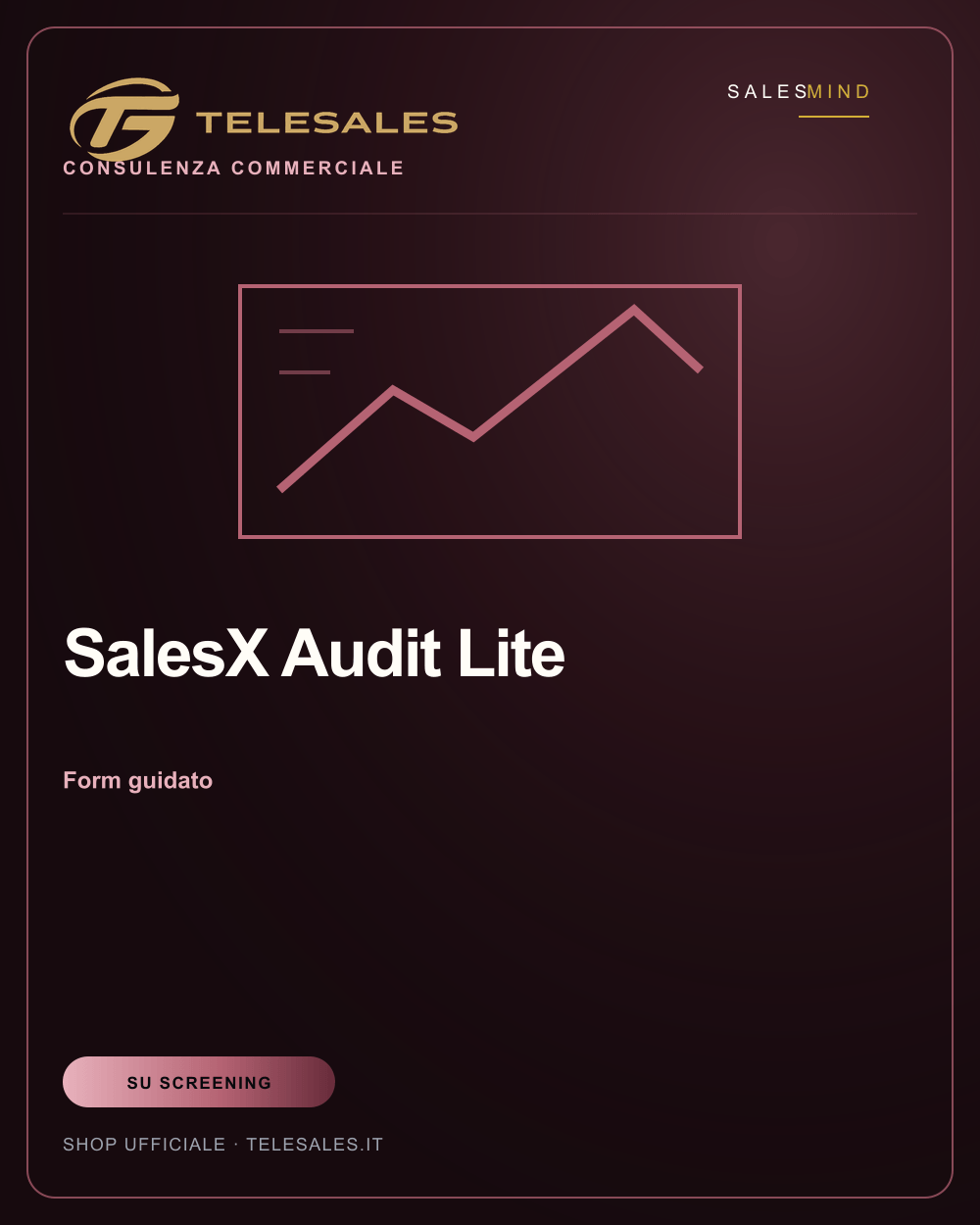 SalesX Audit Lite