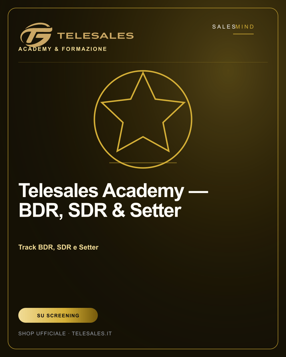 Telesales Academy — BDR, SDR & Setter